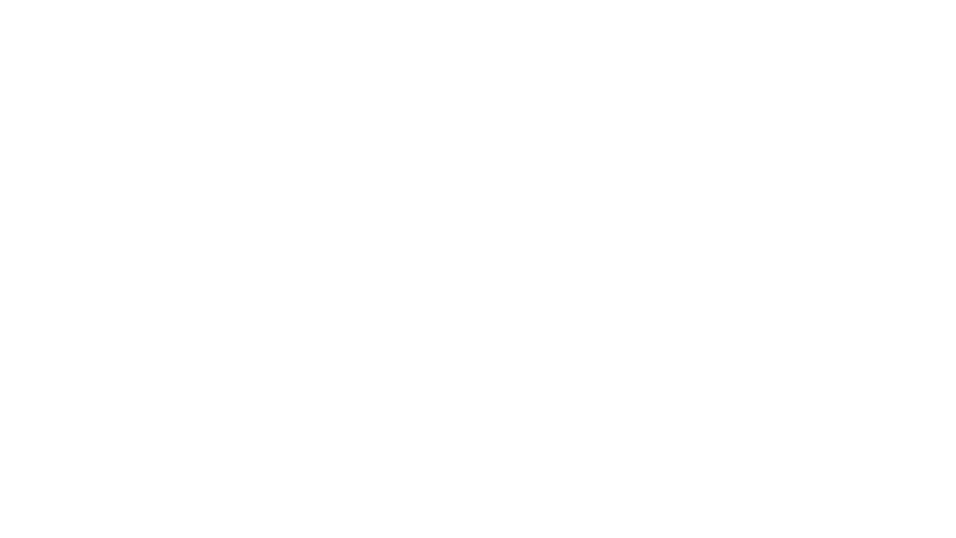 The Sparring Partner