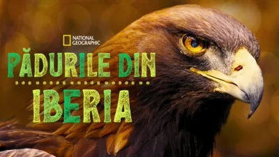 thumbnail - Pădurile din Iberia