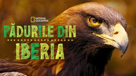 thumbnail - Pădurile din Iberia