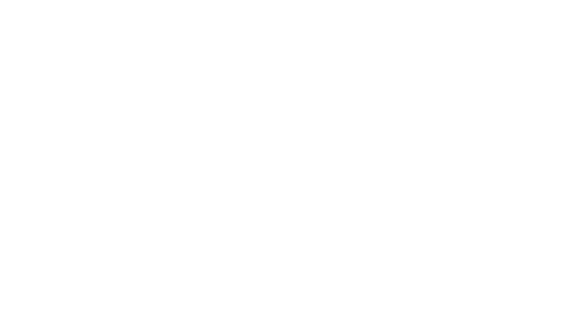 The Suspect
