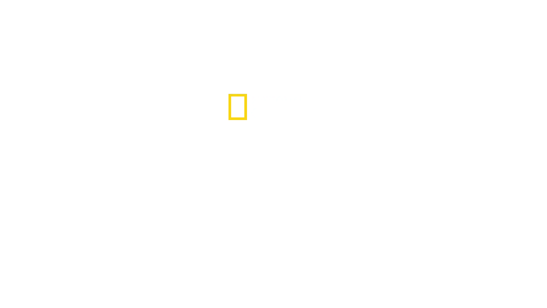 Playa de tiburones