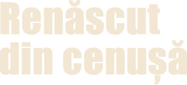 Renăscut din cenușă