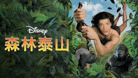 thumbnail - 森林泰山