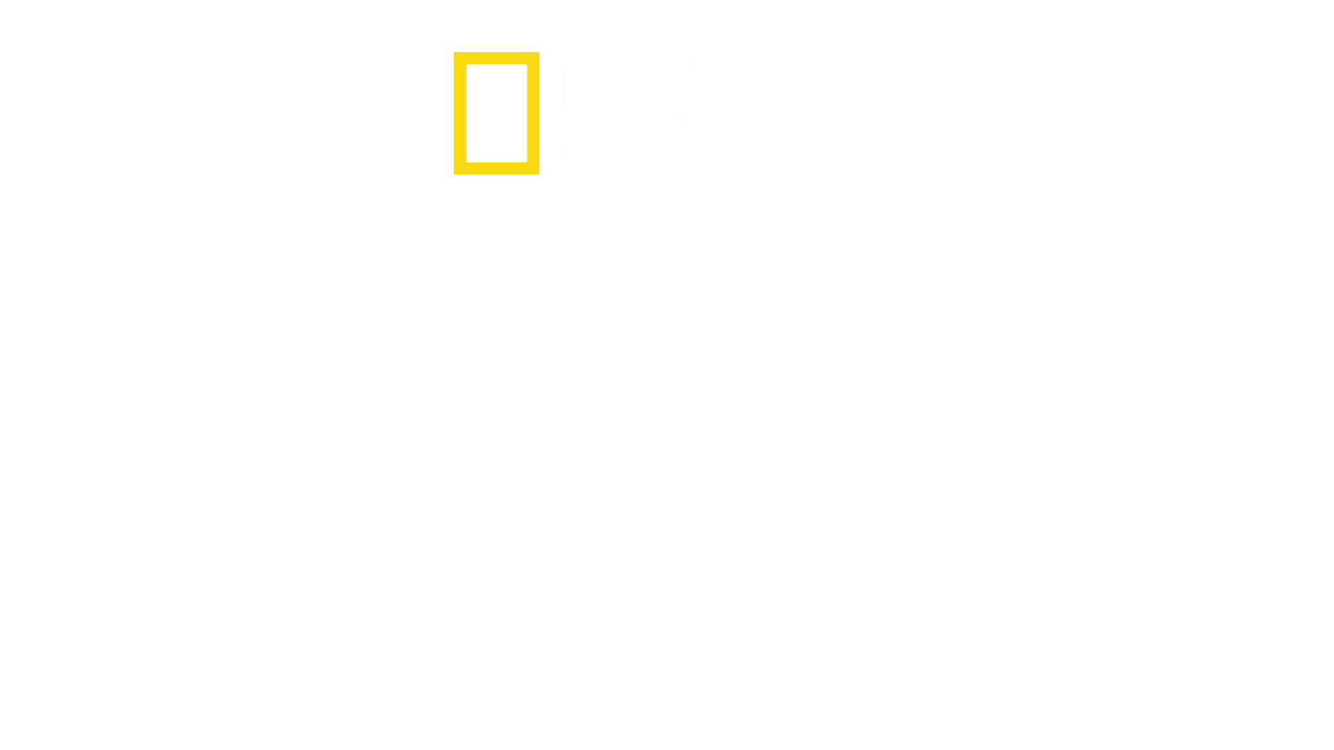 Amsterdam Central: Nádraží, které nespí