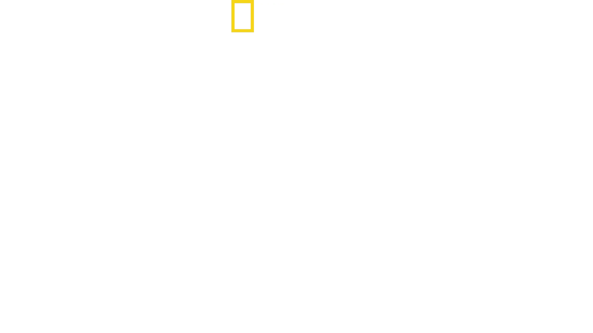 Little Giant