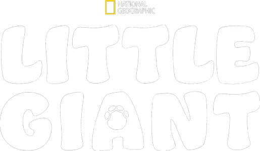 Little Giant