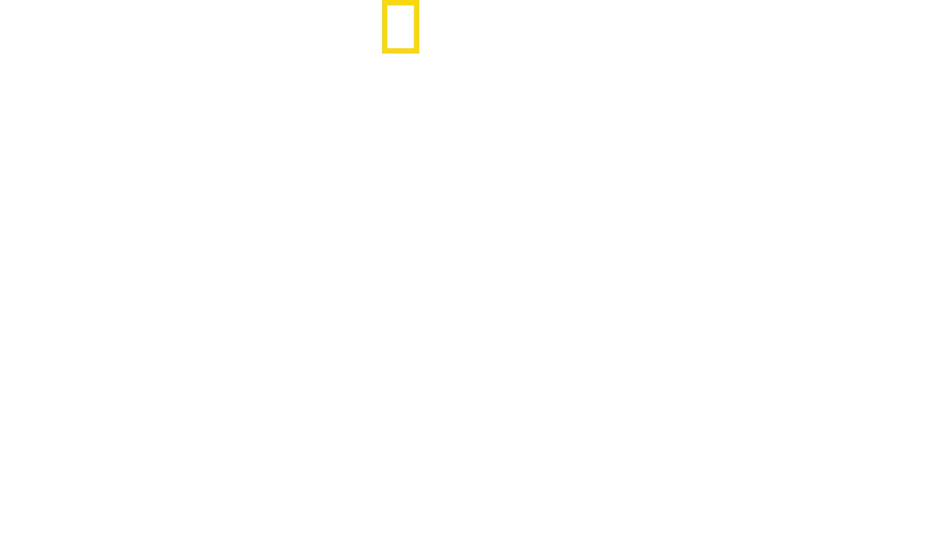 Little Giant