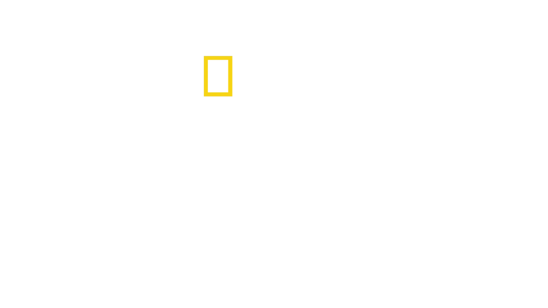企鵝之謎