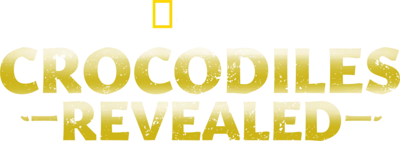 Crocodiles Revealed