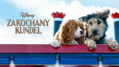 thumbnail - Zakochany kundel