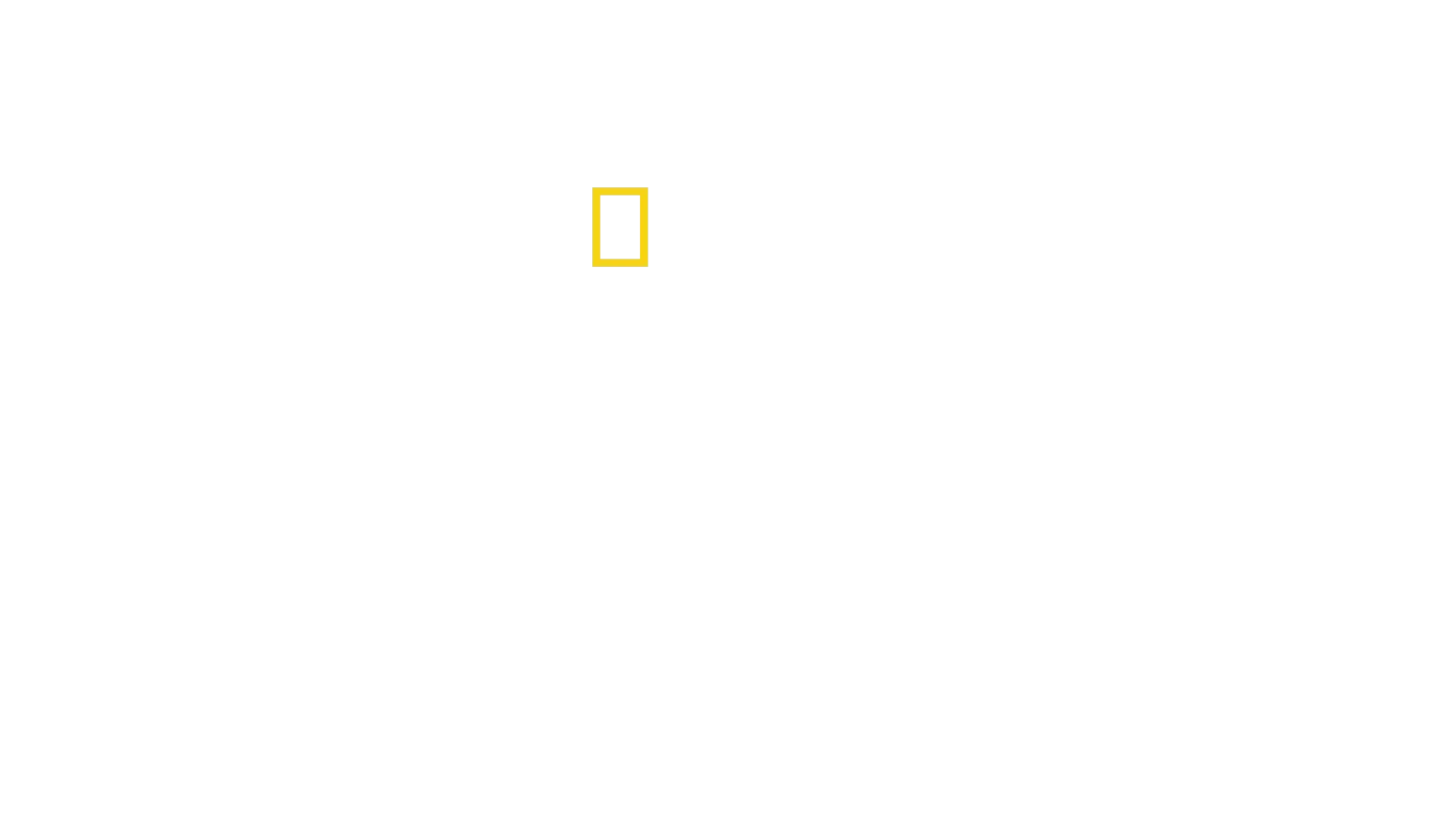 Tesoros perdidos de Egipto