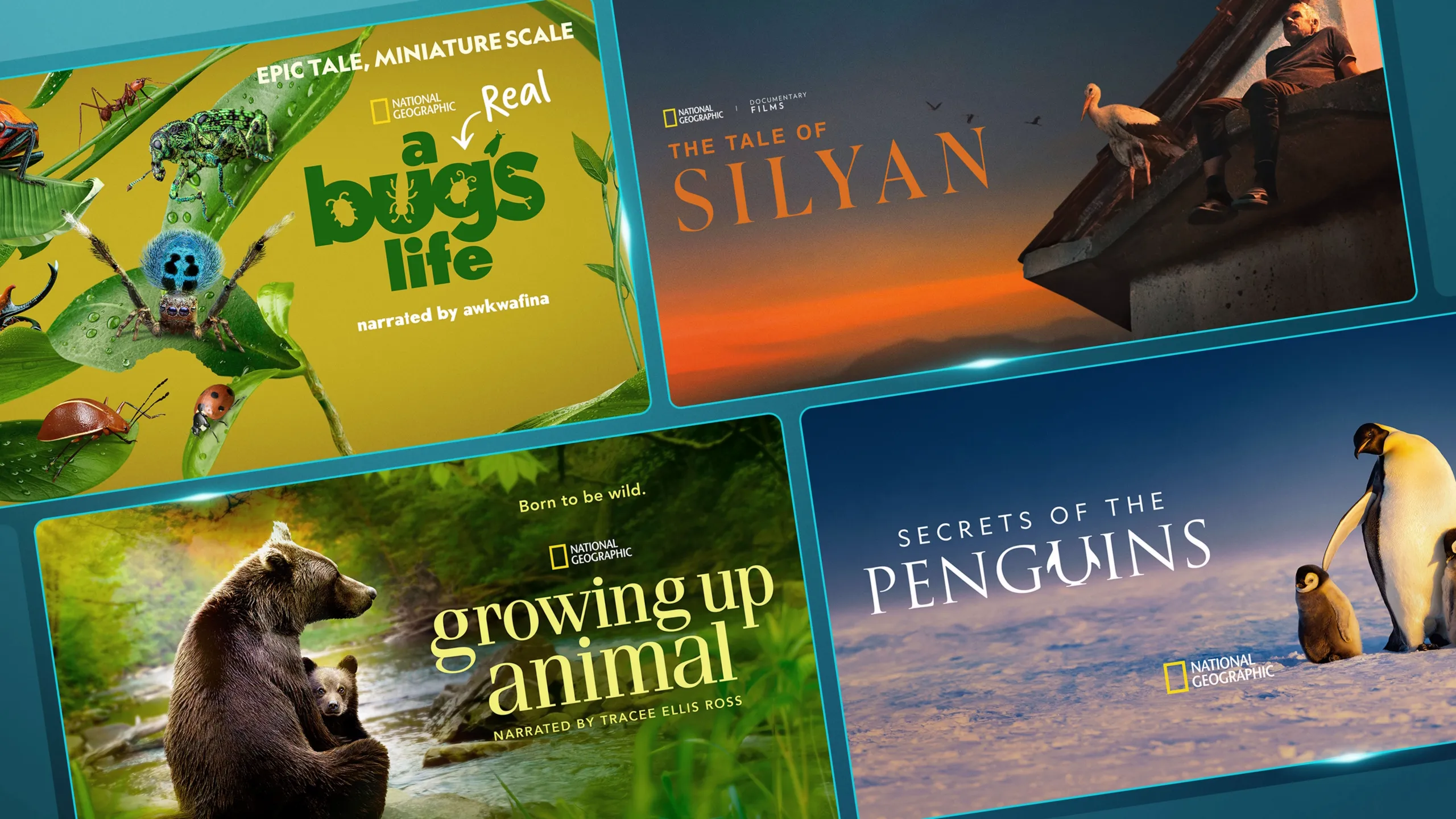 Imagem promocional do guia de conteúdos sobre a natureza da National Geographic