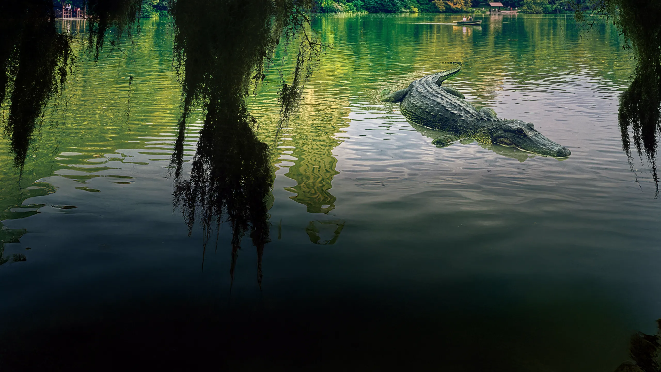 MonsterQuest: Gators in the City