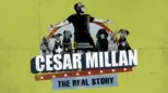 thumbnail - Cesar Millan: The Real Story