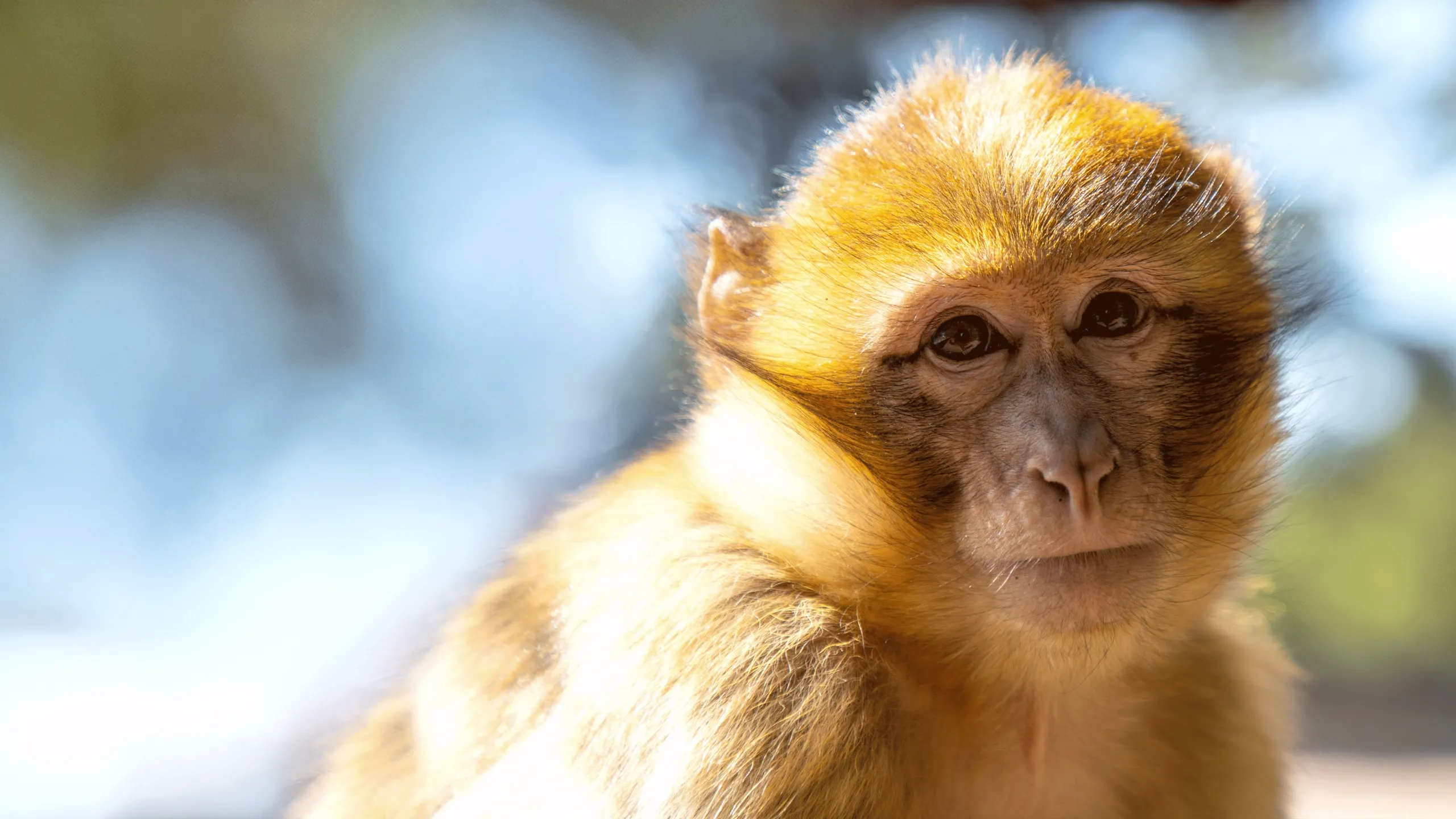 Africa's Hidden Wonders