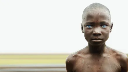 African Territory 1