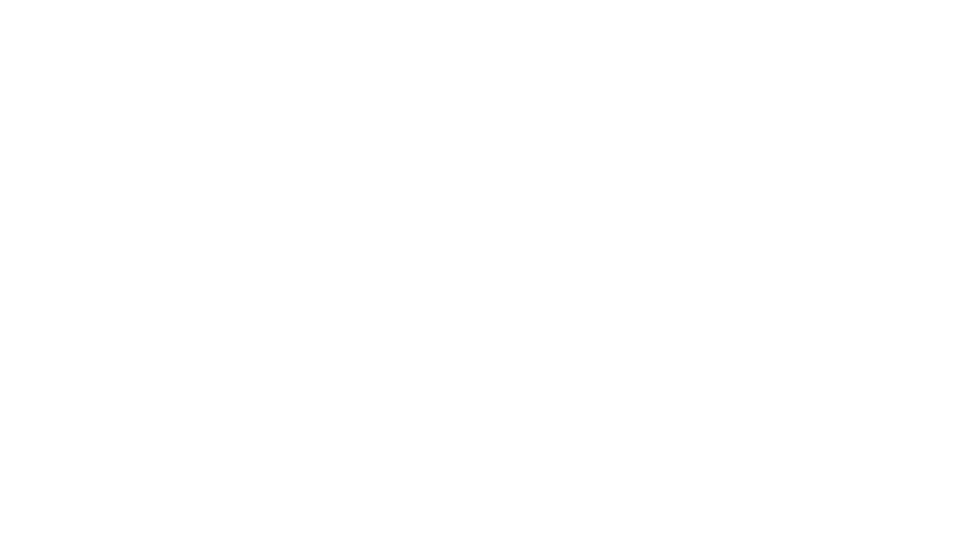 Cisne Negro
