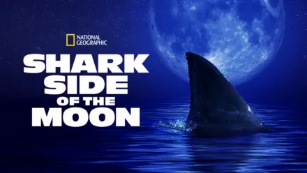 thumbnail - Shark Side of the Moon