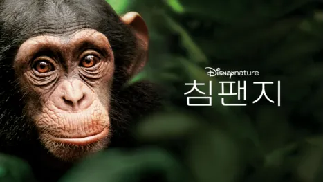 thumbnail - 침팬지