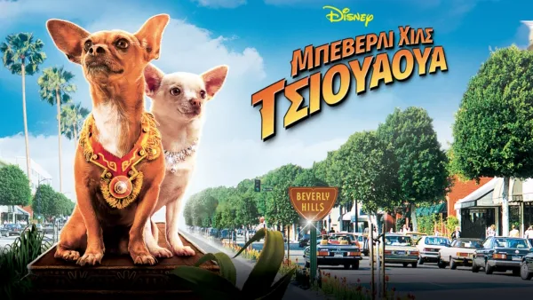 thumbnail - Μπέβερλυ Χιλς Τσιουάουα
