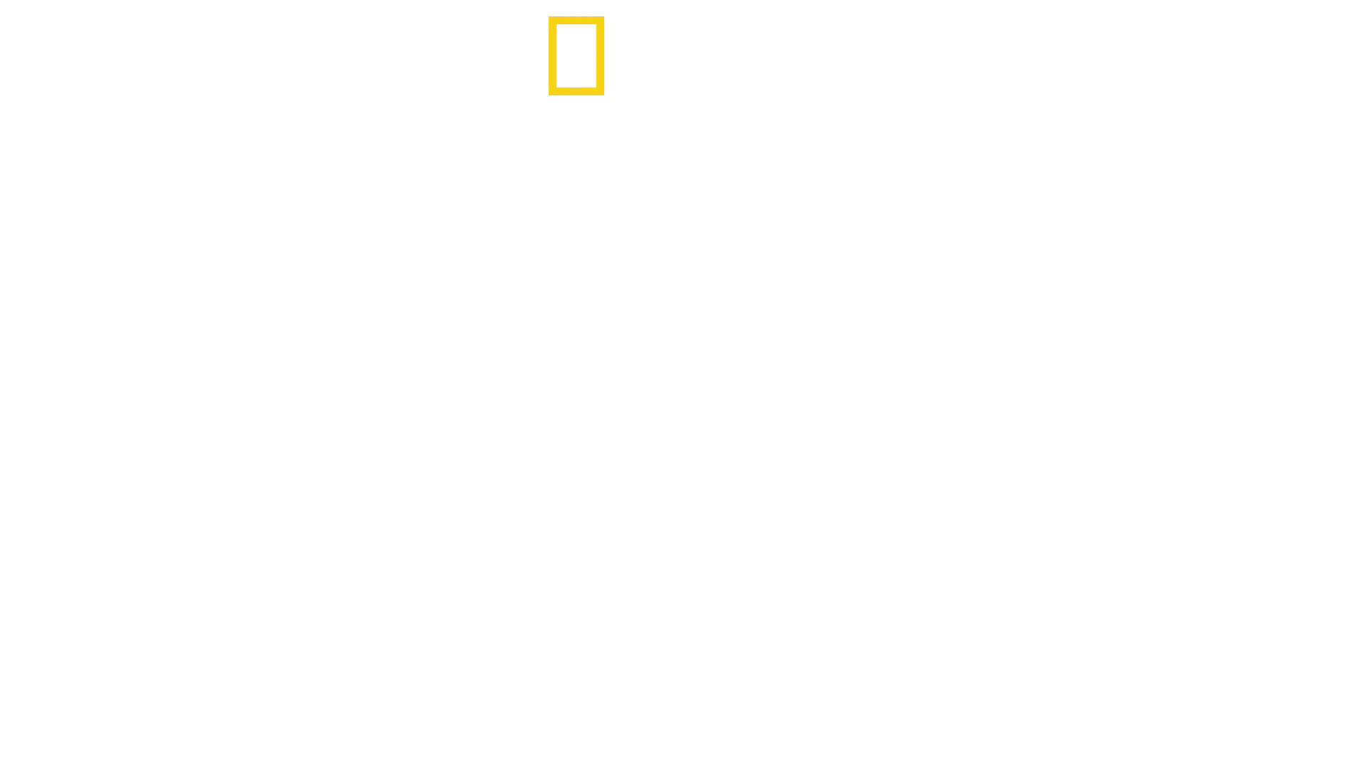 L’Eldorado della droga: Viaggio in USA
