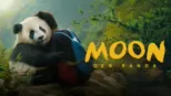 thumbnail - Moon, der Panda