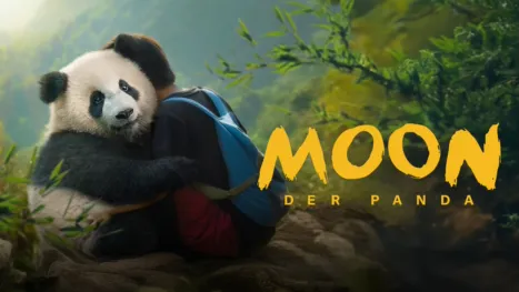 thumbnail - Moon, der Panda