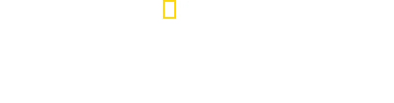 Zázračné přistání na řece Hudson