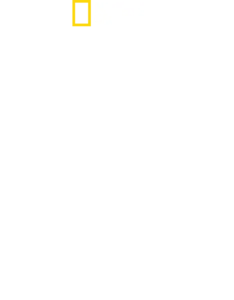 世上最大大白鯊：夏威夷探險