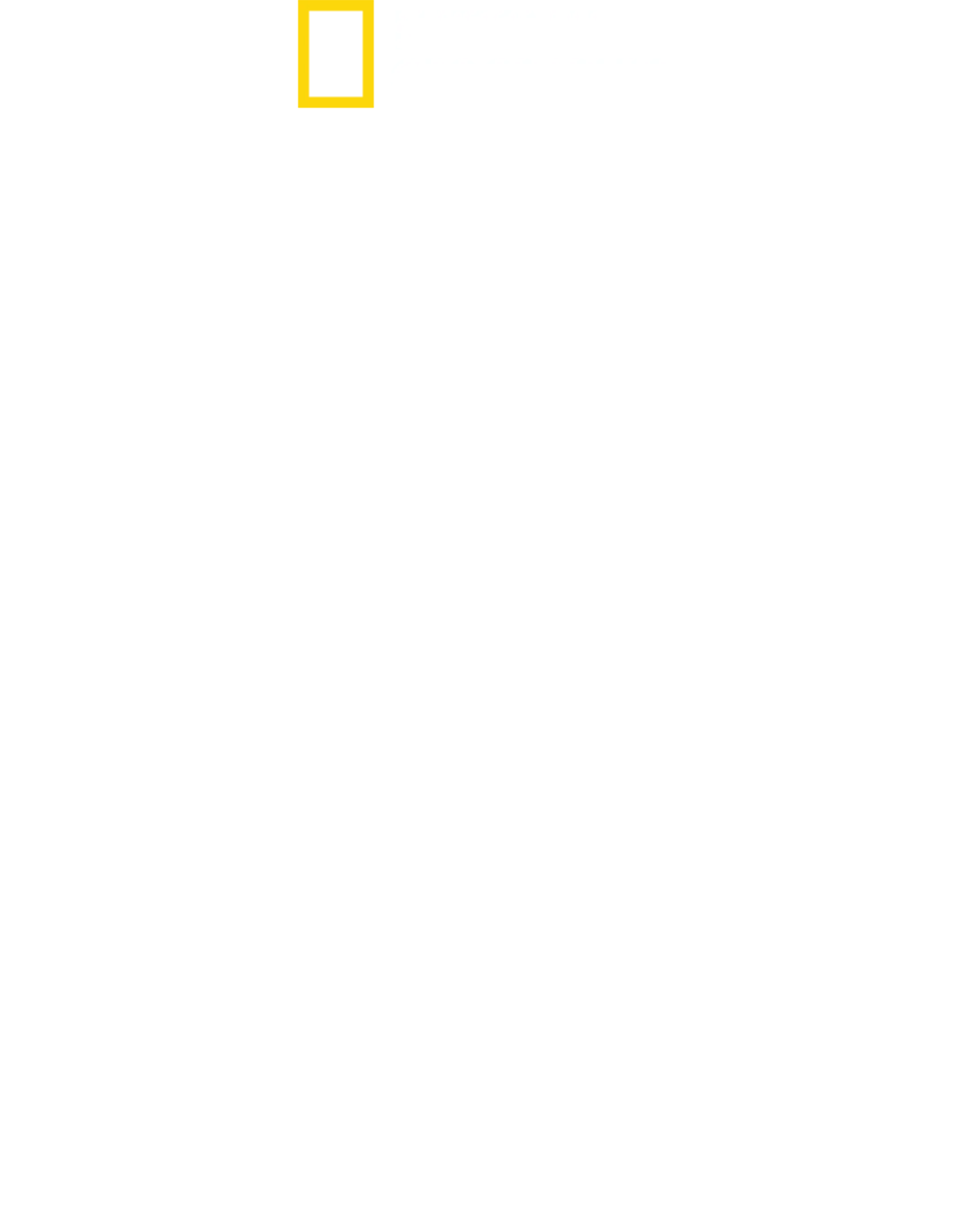 世上最大大白鯊：夏威夷探險