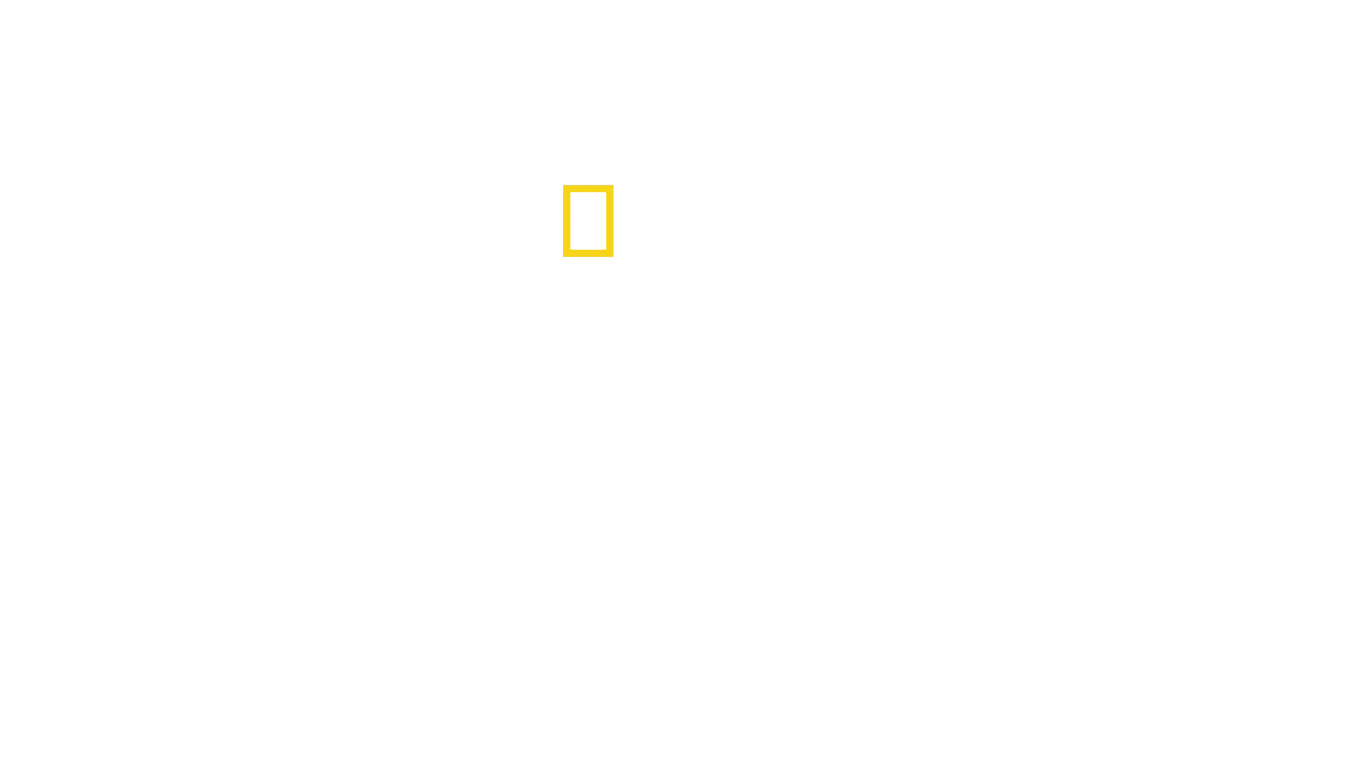 Superestruturas Nazis