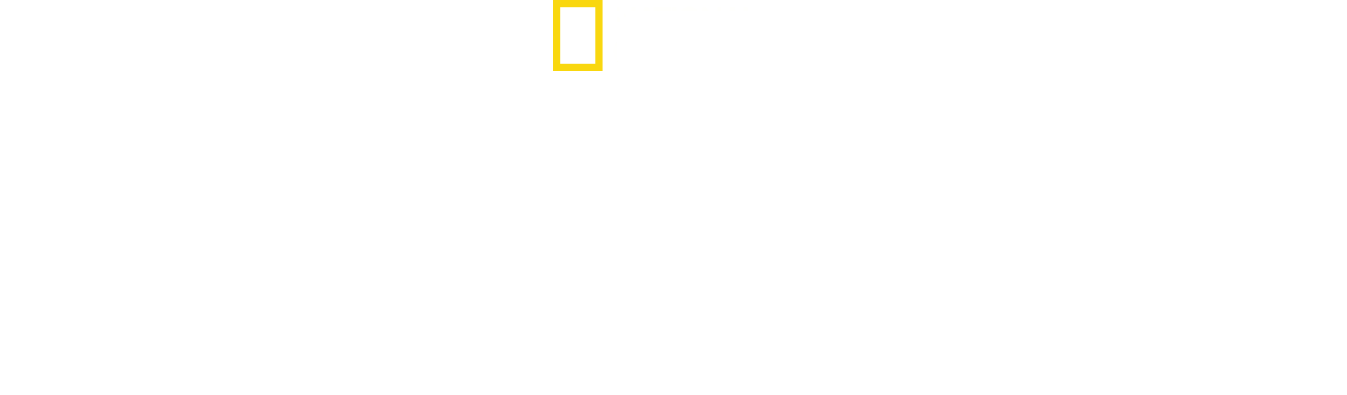 Superestruturas Nazis