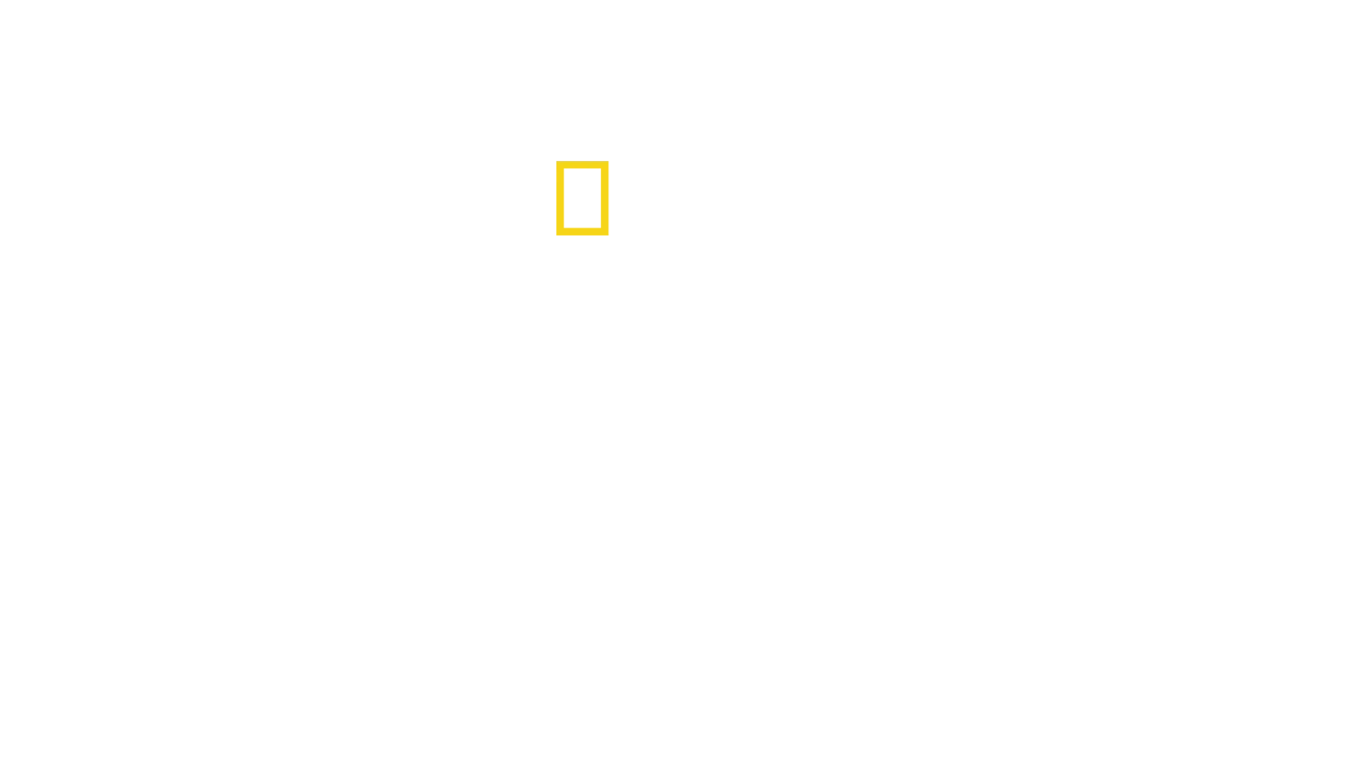 Katie's New Face: A Family's Journey