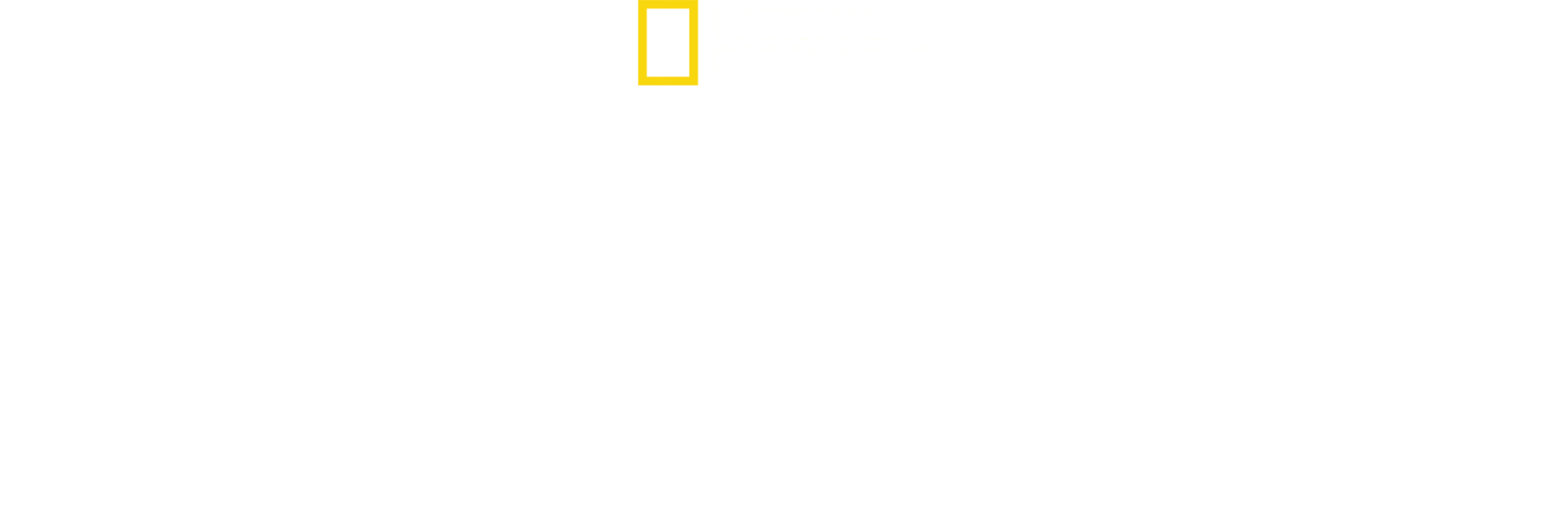 Katie's New Face: A Family's Journey