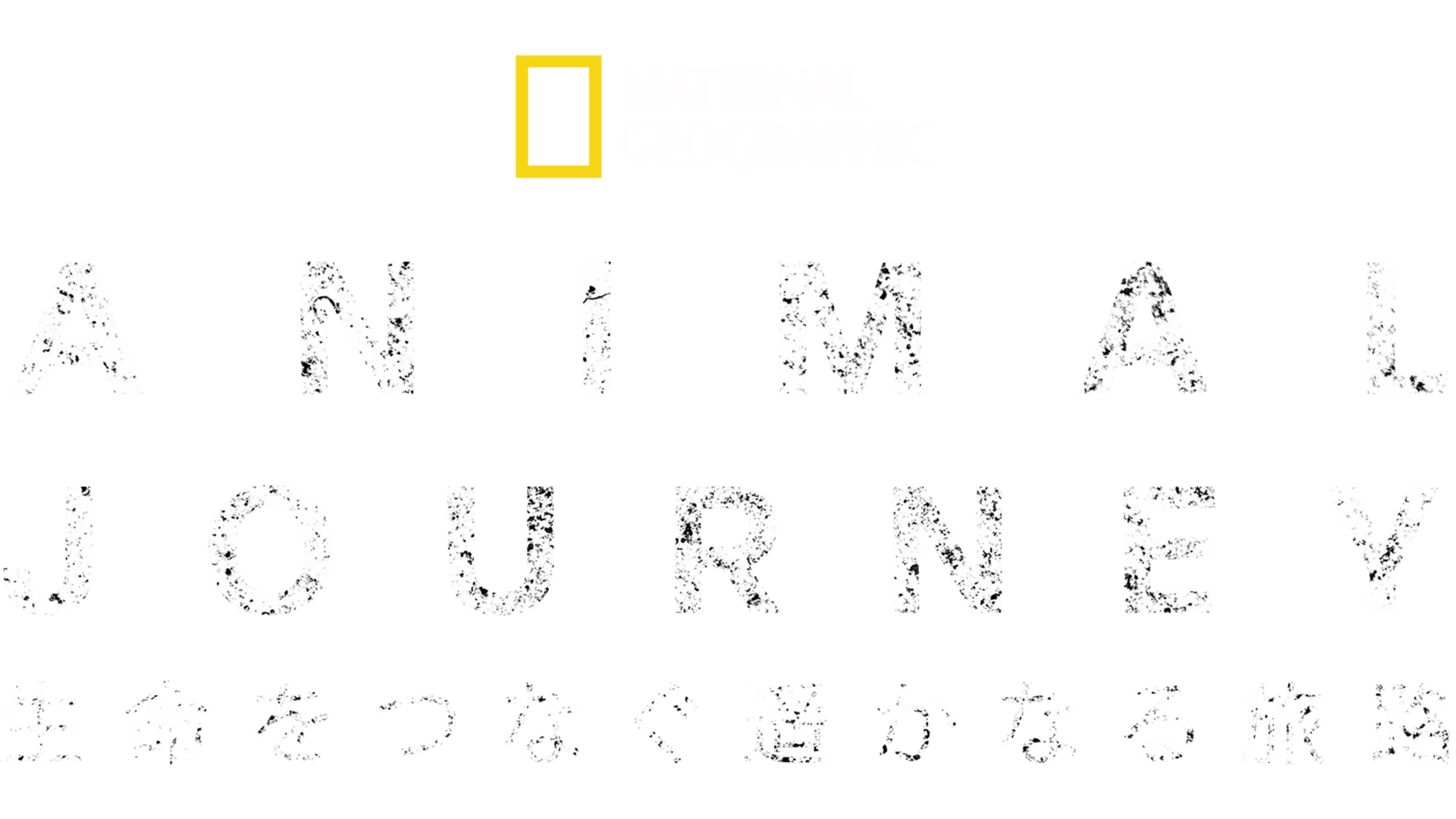 Incredible Animal Journeys