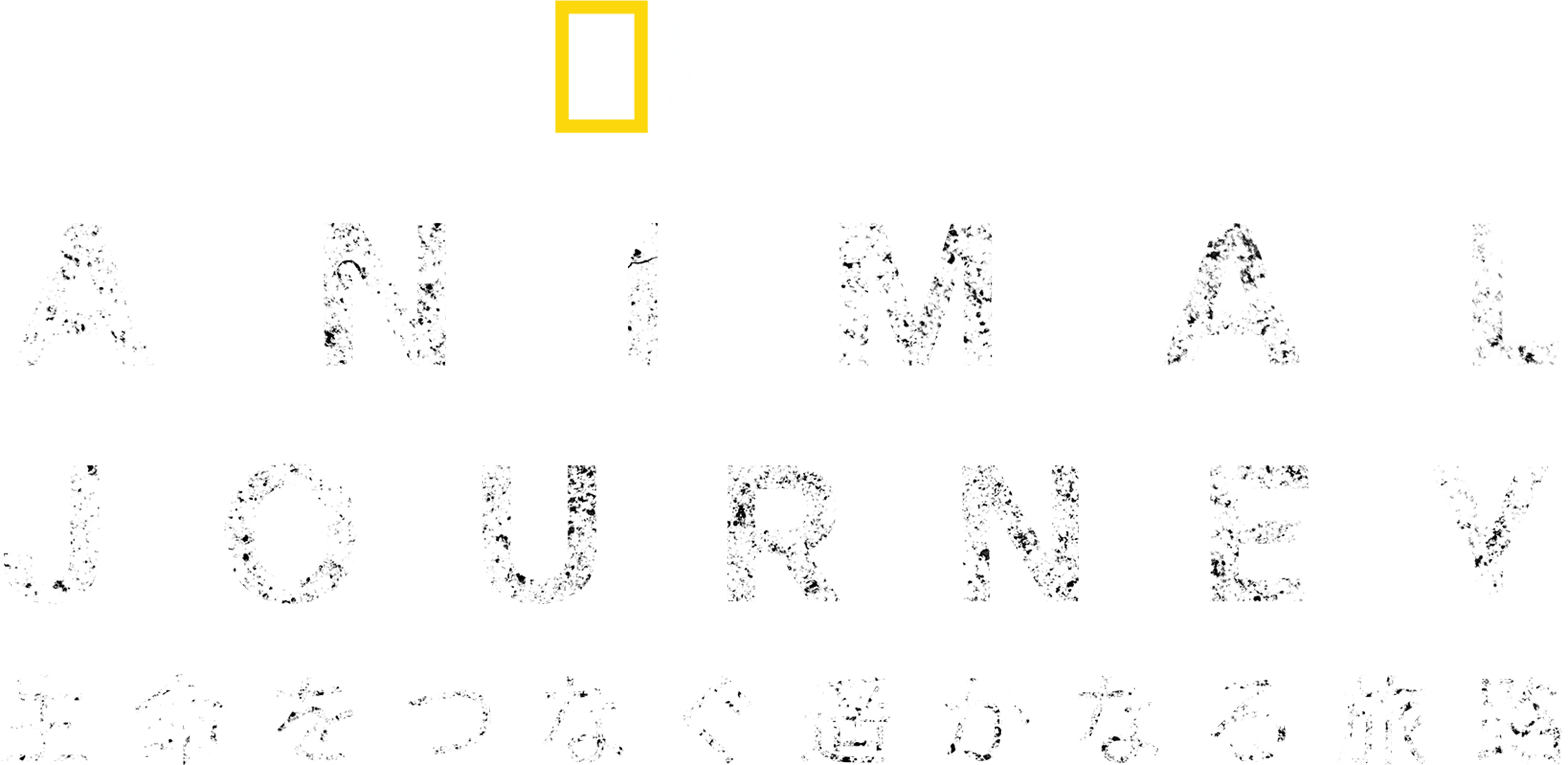 Incredible Animal Journeys