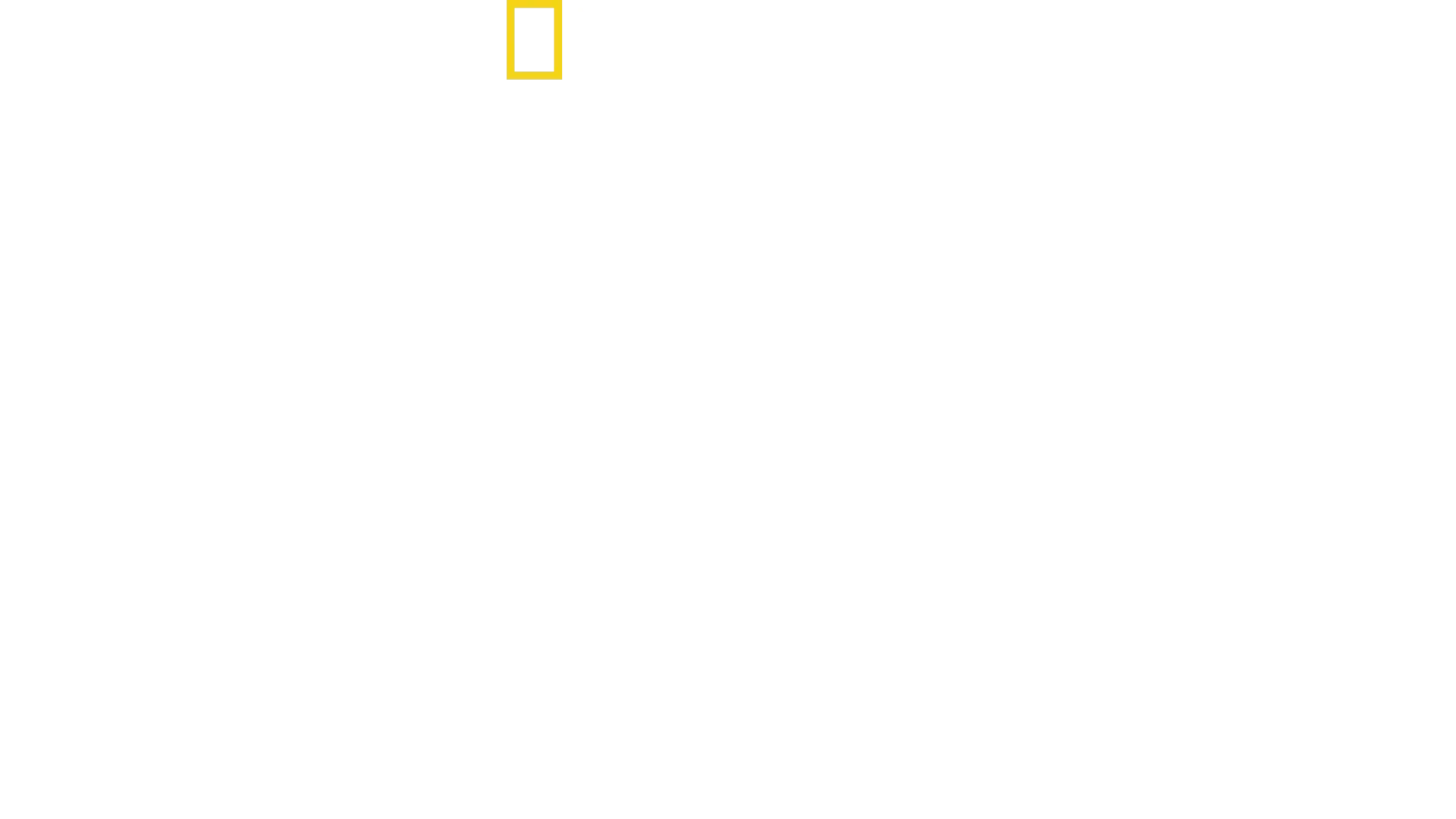 Hitler’s Battle Against The Press