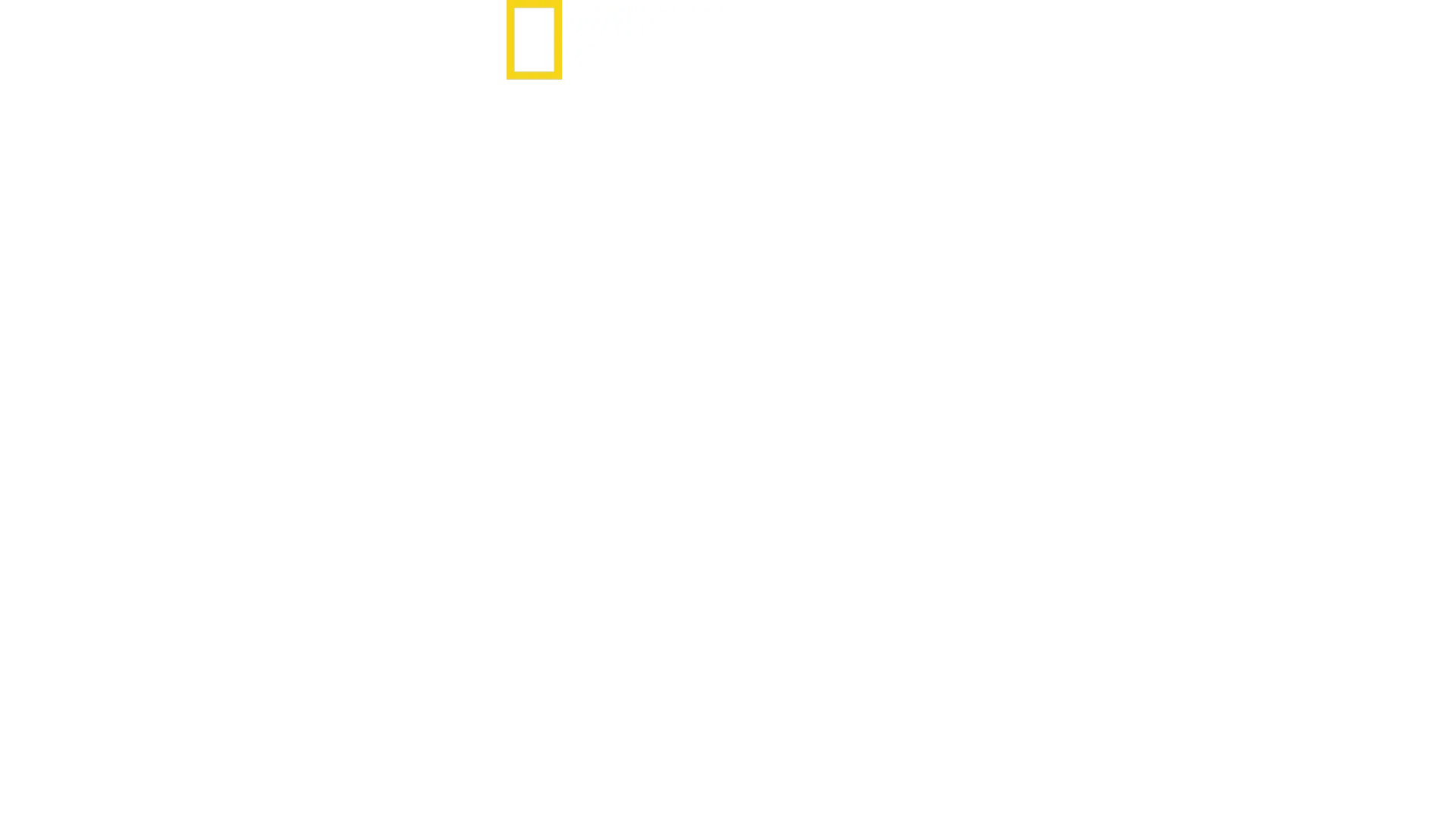 Hitler’s Battle Against The Press