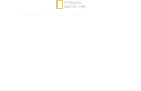 Hitler’s Battle Against The Press