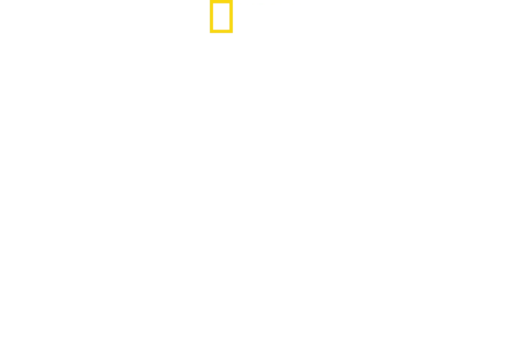 Hitler’s Battle Against The Press