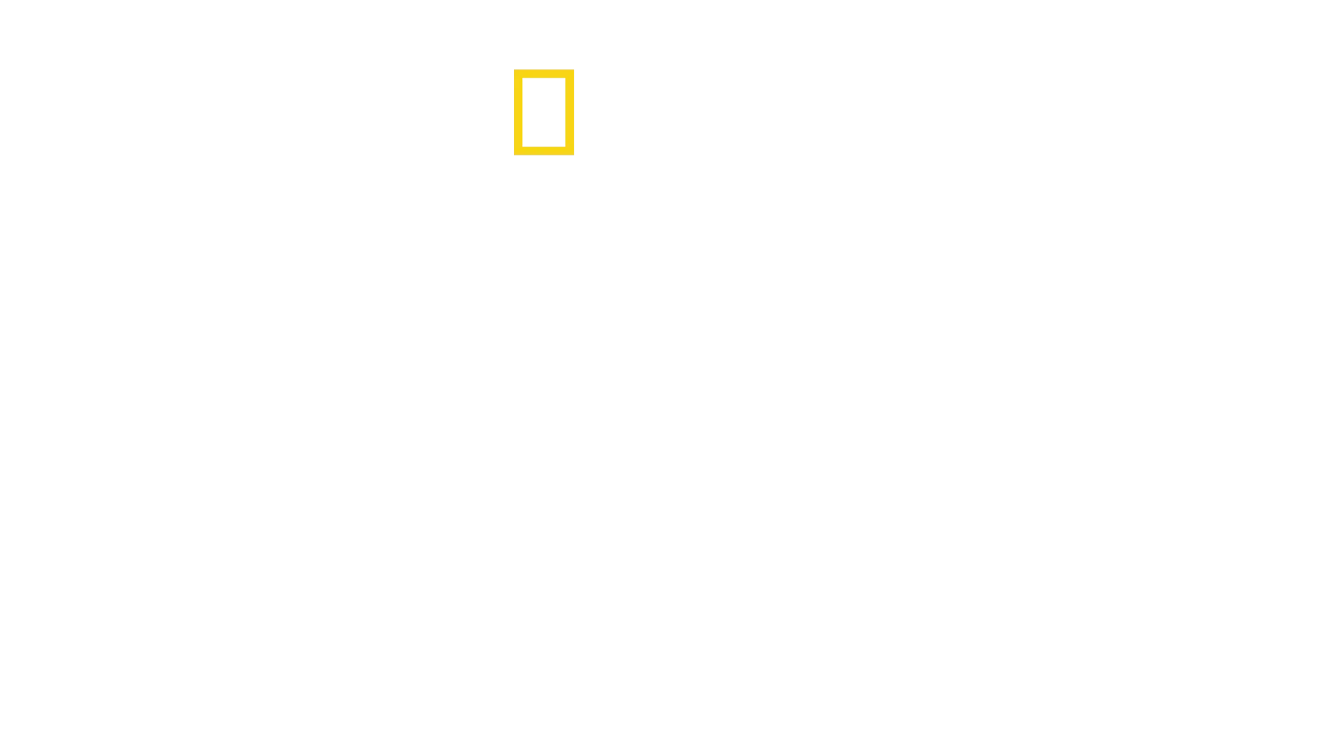 David Attenborough: Az óceán csodája