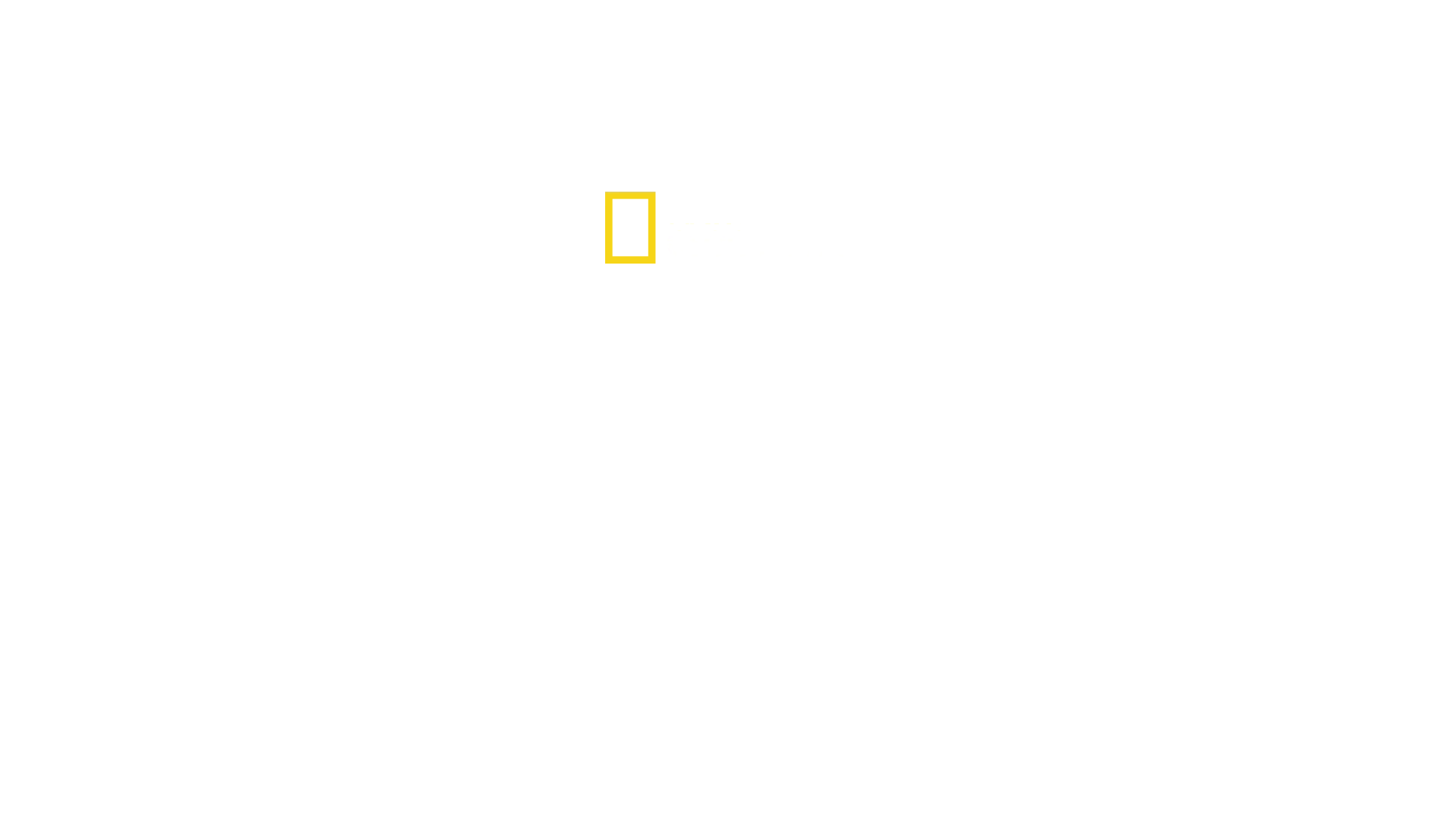 Nord Corea: La dinastia Kim