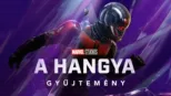 thumbnail - A Hangya