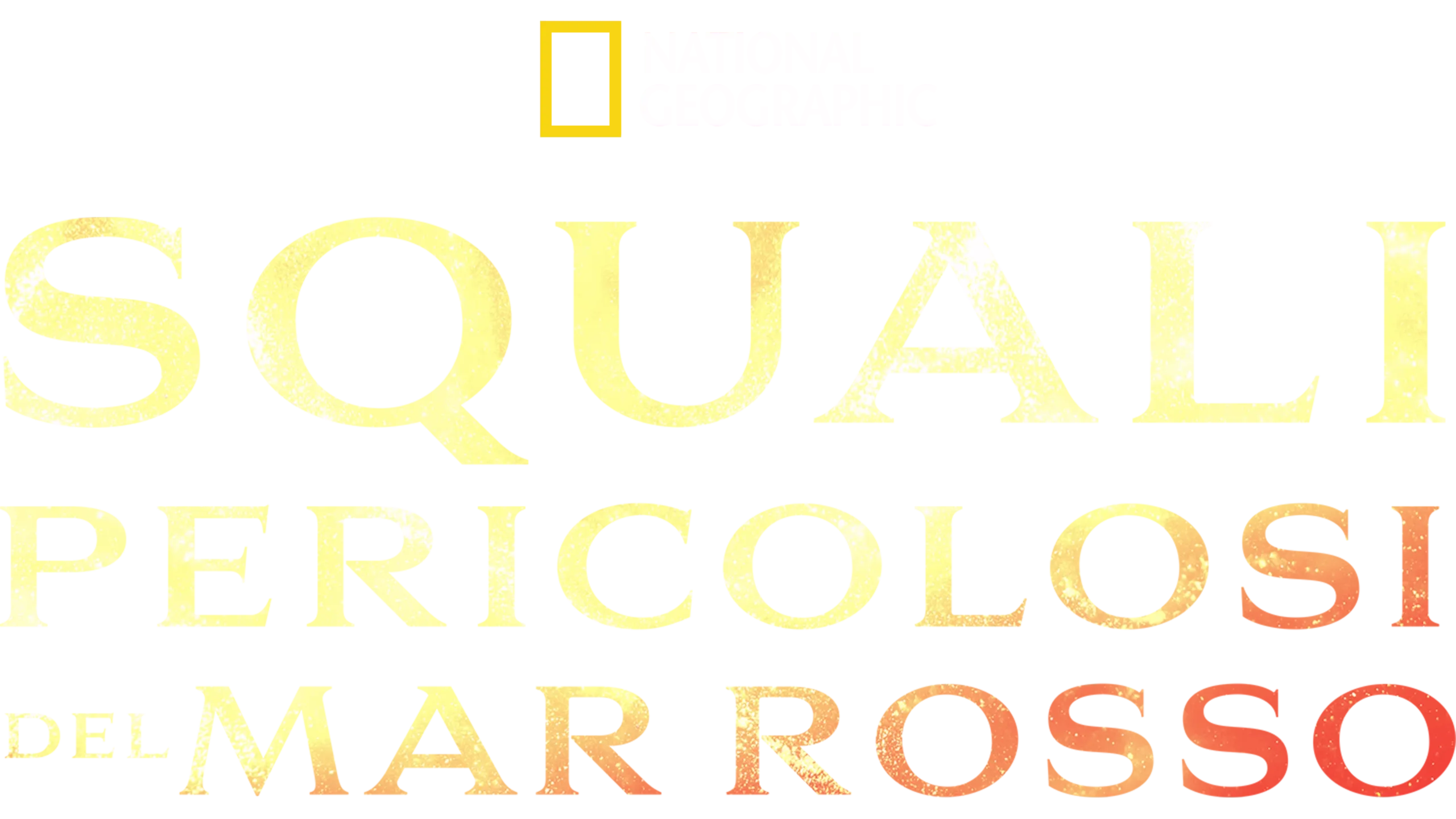 Attack of the Red Sea Sharks