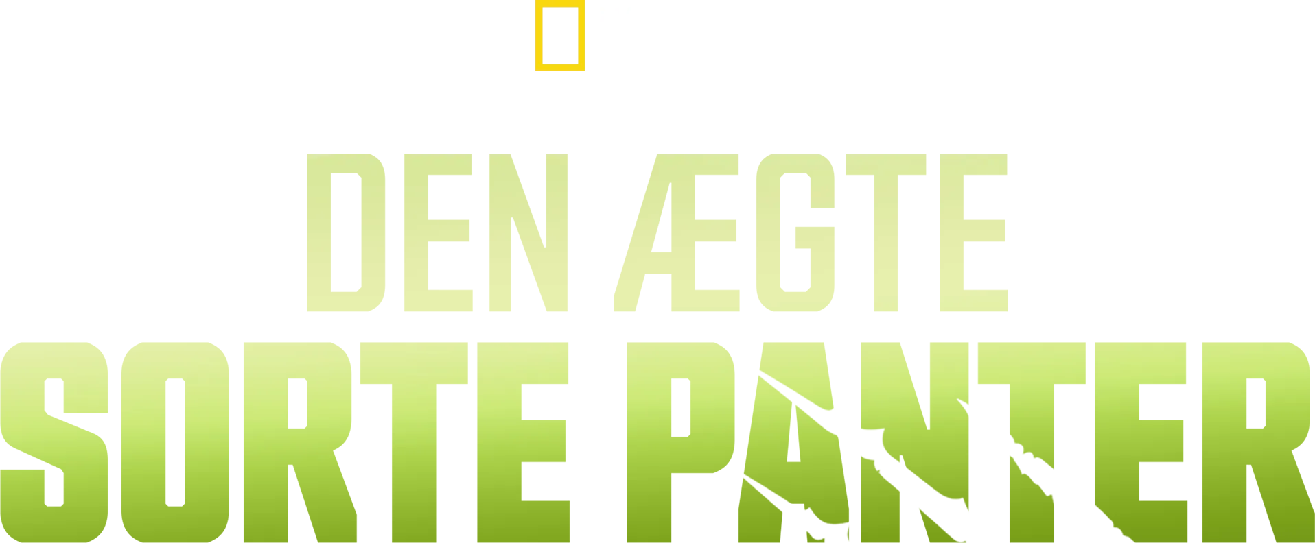 Den ægte sorte panter