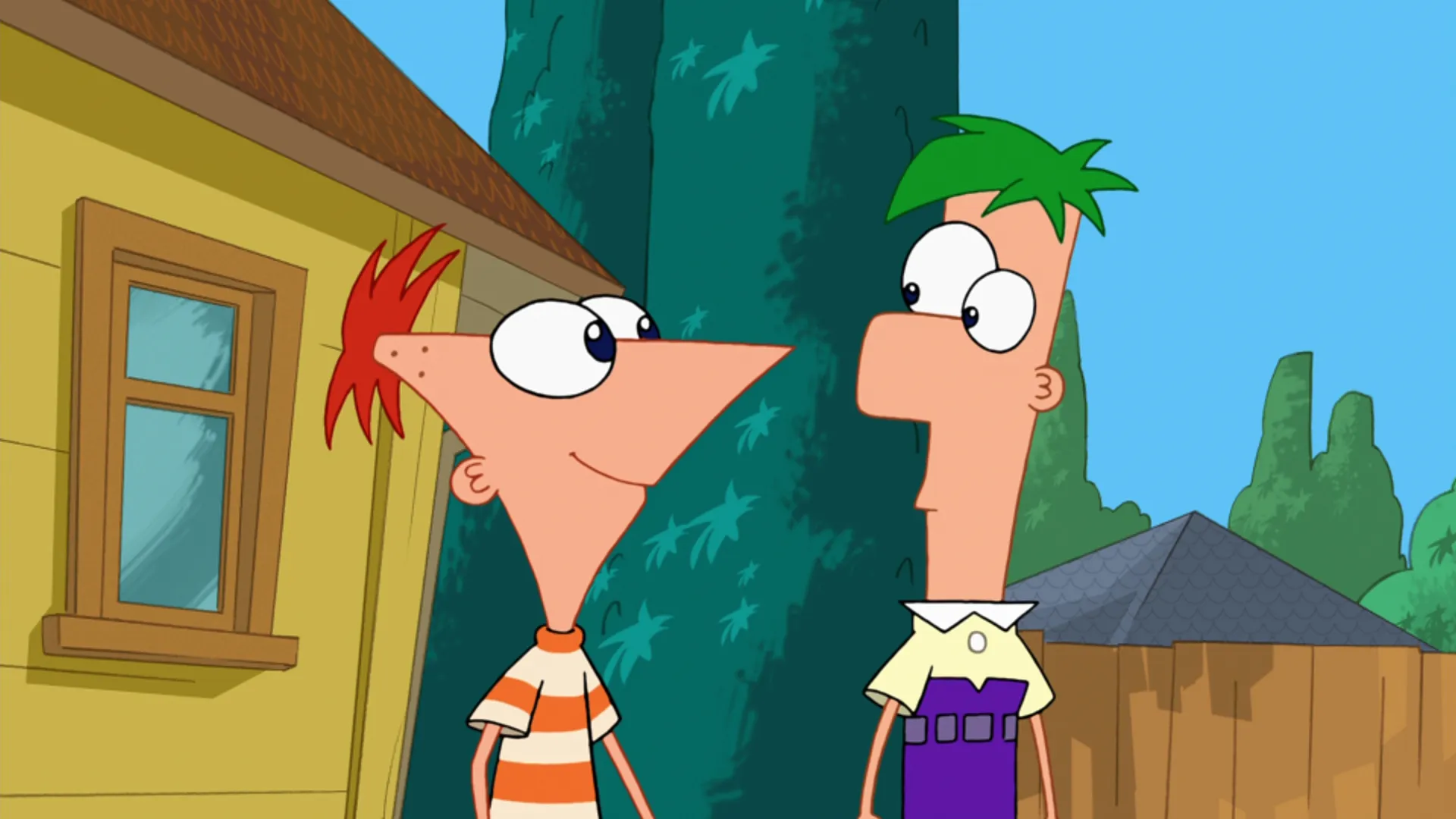 Phineas (voiced by Vincent Martella) and Ferb (voiced by David Errigo Jr.) standing in their backyard, looking at each other