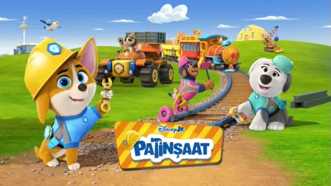 thumbnail - Patinşaat