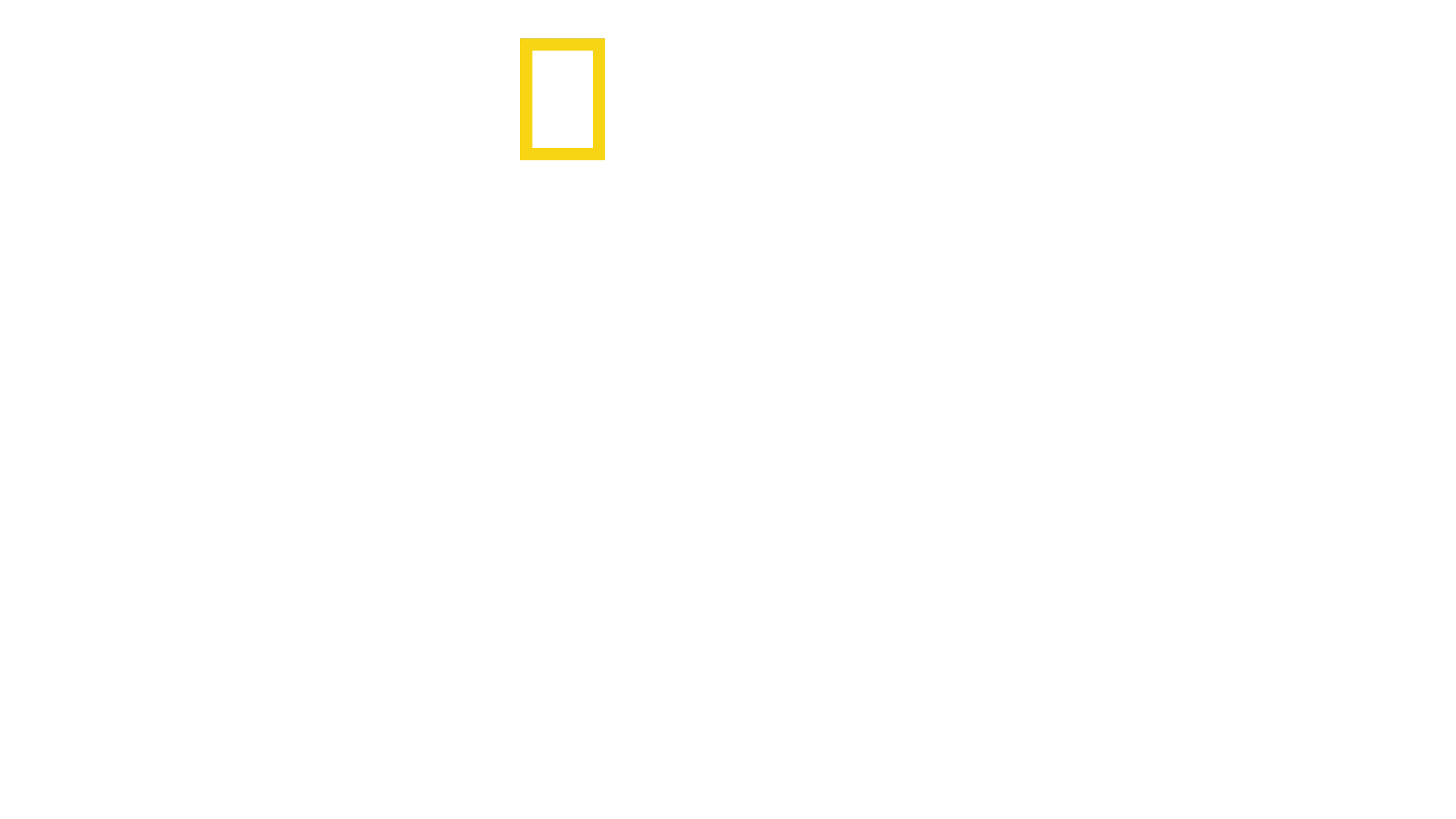 Tajemství ZOO