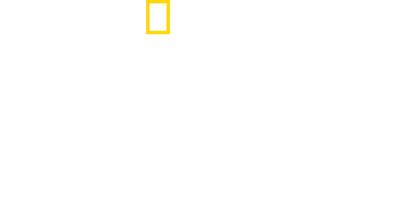 Tajemství ZOO