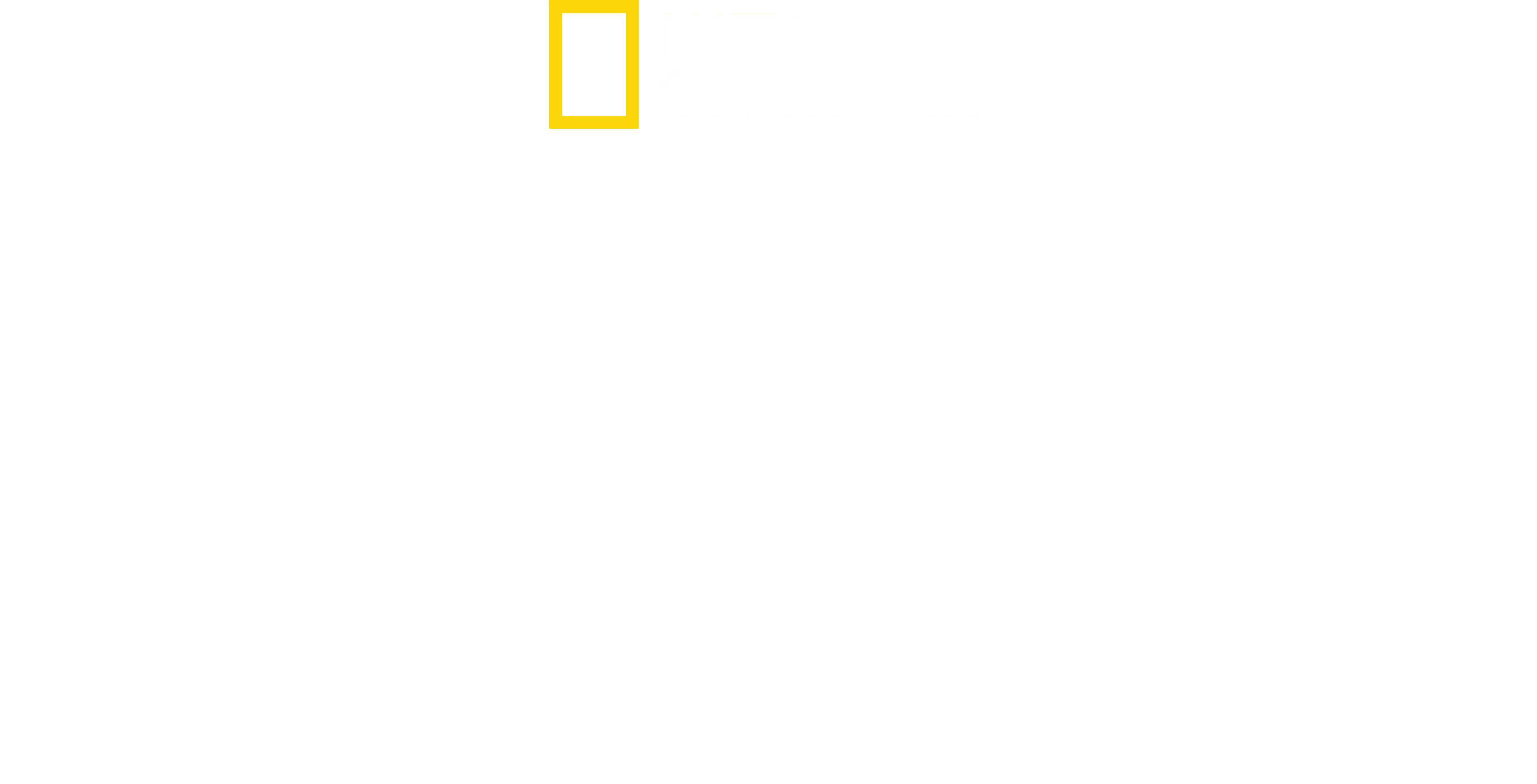 Tajemství ZOO